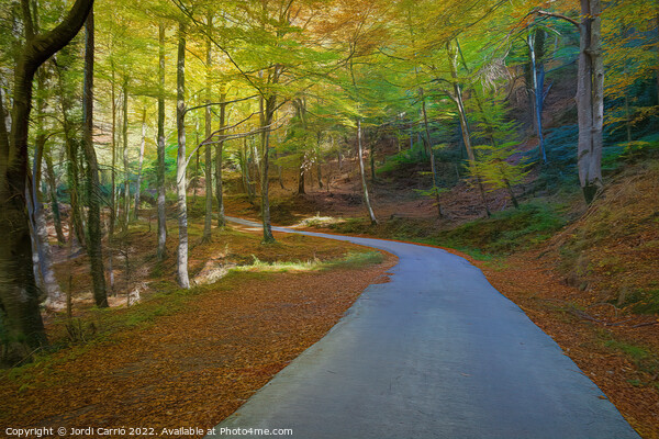 Collsacabra Forest Path - Picturesque Edition  Picture Board by Jordi Carrio