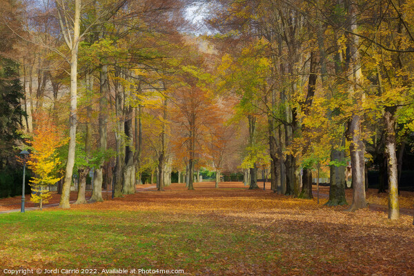 Autumn on Paseo Maristany - CR2011-4024-ABS Picture Board by Jordi Carrio