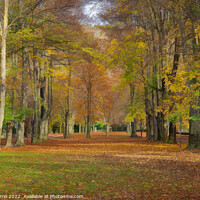 Buy canvas prints of Autumn on Paseo Maristany - CR2011-4024-ABS by Jordi Carrio