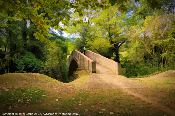 Autumn Bridge in San Esteban - CR2010-3791-ABS Picture Board by Jordi Carrio