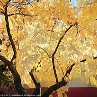 Buy canvas prints of Yellow Autumn Leaves - CR2211-8260-ABS by Jordi Carrio