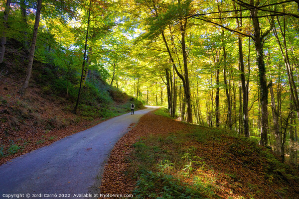 Collsacabra Forest Path - Orton glow Edition  Picture Board by Jordi Carrio