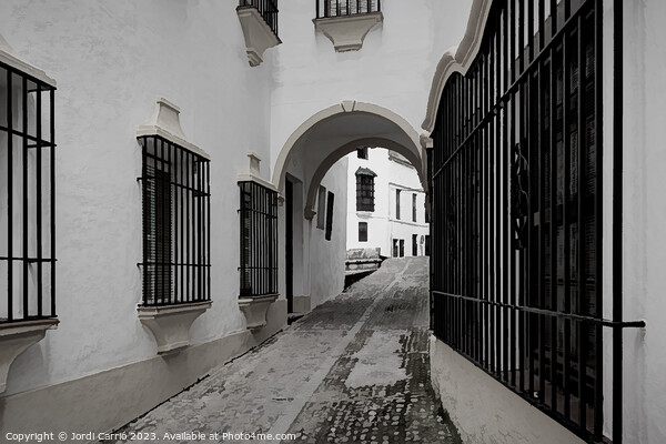Medieval Streets of Ronda - C1804 2917 BW Picture Board by Jordi Carrio