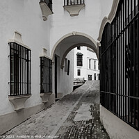 Buy canvas prints of Medieval Streets of Ronda - C1804 2917 BW by Jordi Carrio