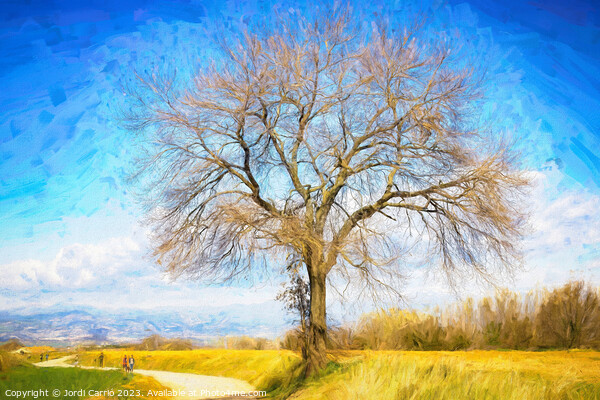A tree on the road - CR2103-4772-OIL Picture Board by Jordi Carrio