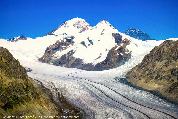 Aletsch Glacier - Eggishorn Viewpoint - N0708-123  Picture Board by Jordi Carrio