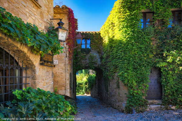 The charming streets of Peratalla - C1610 7638 ORT Picture Board by Jordi Carrio