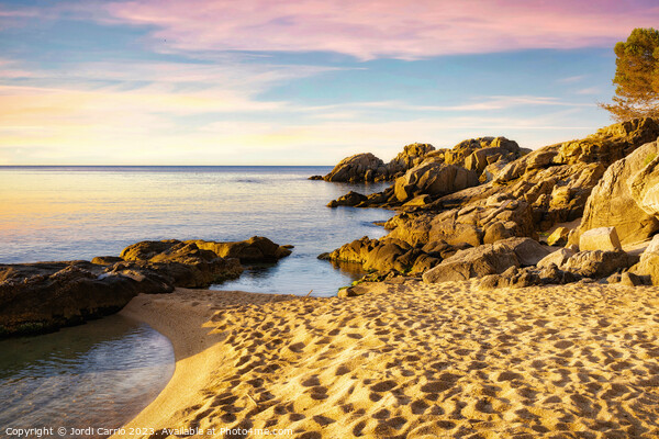 Colors of sunrise on the Costa Brava -4 Picture Board by Jordi Carrio