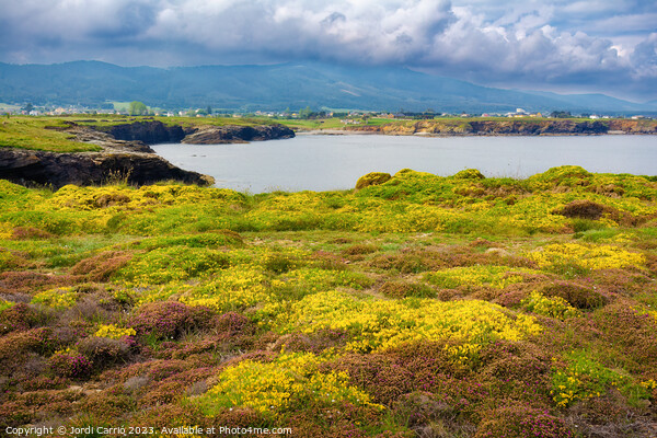 Beautiful coast of Meireros - Advanced natural editing Picture Board by Jordi Carrio