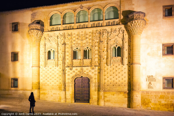 Palace of Jabalquinto de Baeza, Andalusia  - Advan Picture Board by Jordi Carrio