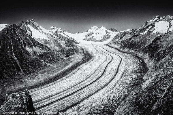 Majestic Aletsch Glacier View - N0708-129-BW-2 Picture Board by Jordi Carrio