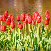 Buy canvas prints of The scarlet splendor of the tulip - CR2305-9183-OI by Jordi Carrio
