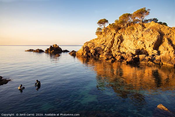 Sunrise at Cap Roig, Costa Brava Picture Board by Jordi Carrio