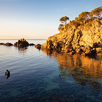 Buy canvas prints of Sunrise at Cap Roig, Costa Brava by Jordi Carrio