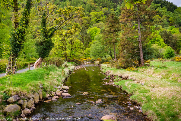 View to Glendalough National Park, Ireland Picture Board by Jordi Carrio