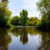 Buy canvas prints of Lake of St Stephen's Green, Dublin by Jordi Carrio