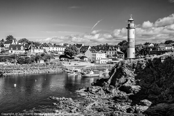 Port of Doelan, Brittany, France  Picture Board by Jordi Carrio