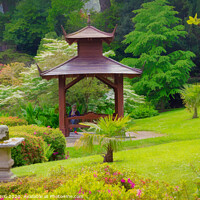 Buy canvas prints of Japanese garden by Jordi Carrio