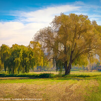 Buy canvas prints of A fainted tree and an oak in the middle of the meadow. by Jordi Carrio