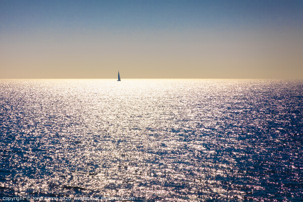 A backlit sailboat at sea Picture Board by Jordi Carrio