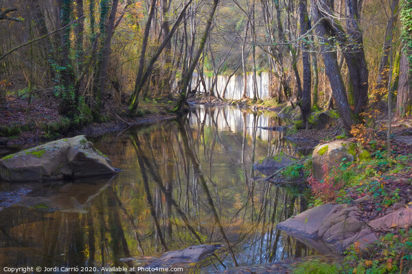Reflections in the river in the middle of autumn Picture Board by Jordi Carrio