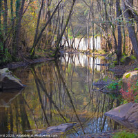 Buy canvas prints of Reflections in the river in the middle of autumn by Jordi Carrio