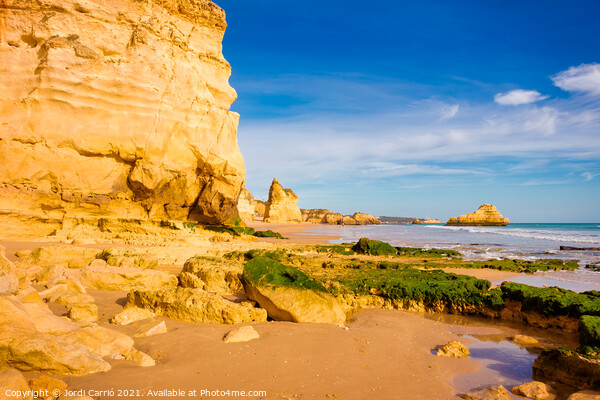 Beaches and cliffs of Praia Rocha, Algarve - 1 Picture Board by Jordi Carrio