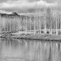 Buy canvas prints of Reflections of the Ter in Torelló - CR2012-4189-BW by Jordi Carrio