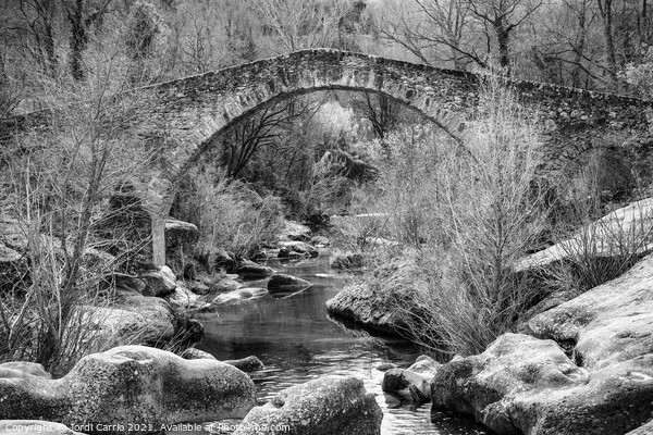 Gothic Bridge of Merles - CR2102-4645-BW Picture Board by Jordi Carrio