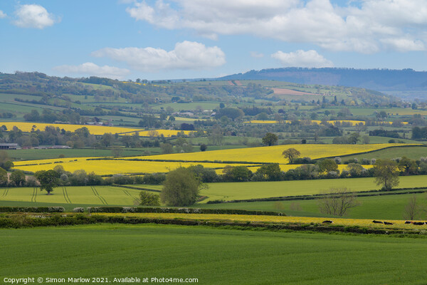 South Shropshire Summer Landscape Picture Board by Simon Marlow