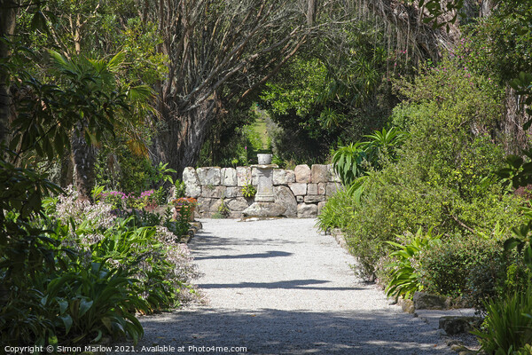 Exotic Beauty Abbey Gardens of Tresco Picture Board by Simon Marlow