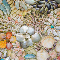 Buy canvas prints of A Collection of Aquatic Treasures by Simon Marlow