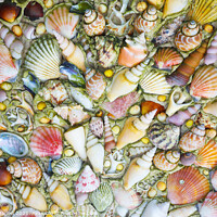 Buy canvas prints of Oceans Treasures by Simon Marlow