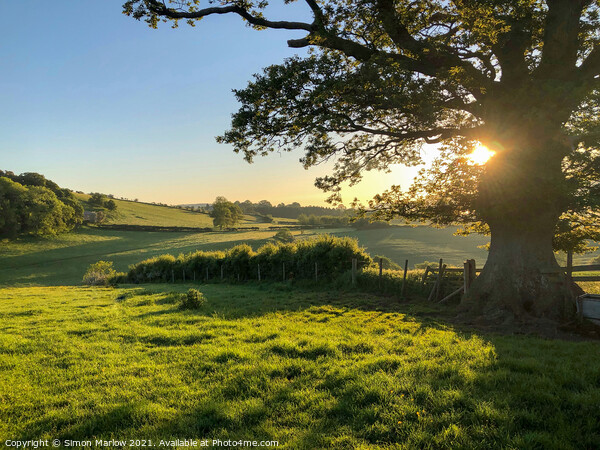 Radiant Sunrise Over Lush Shropshire Fields Picture Board by Simon Marlow