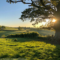 Buy canvas prints of Radiant Sunrise Over Lush Shropshire Fields by Simon Marlow