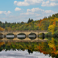 Buy canvas prints of Bridge over the lake at Virginia Water by Simon Marlow