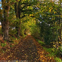 Buy canvas prints of Colours of Autumn by Simon Marlow
