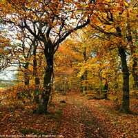 Buy canvas prints of Autumn Colours by Simon Marlow