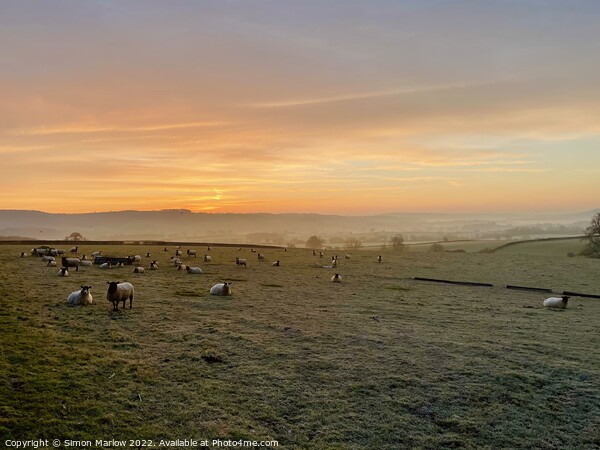 Vibrant Shropshire Sunrise Picture Board by Simon Marlow