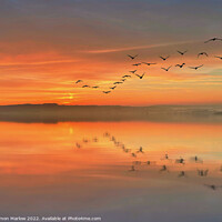 Buy canvas prints of Birds over a lake at sunset by Simon Marlow