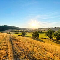 Buy canvas prints of Summer Shropshire Landscape by Simon Marlow