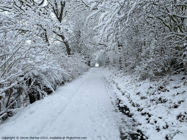 Winter wonderland in South Shropshire Picture Board by Simon Marlow