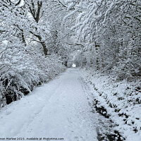 Buy canvas prints of Winter wonderland in South Shropshire by Simon Marlow