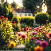 Buy canvas prints of Beautiful cottage garden summer flowers  by Simon Marlow