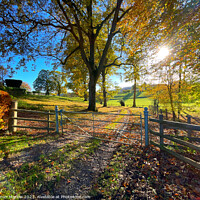 Buy canvas prints of Beautiful Autumn scene at Obley by Simon Marlow