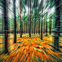 Buy canvas prints of Rushing Through the Lush Greenery by Simon Marlow