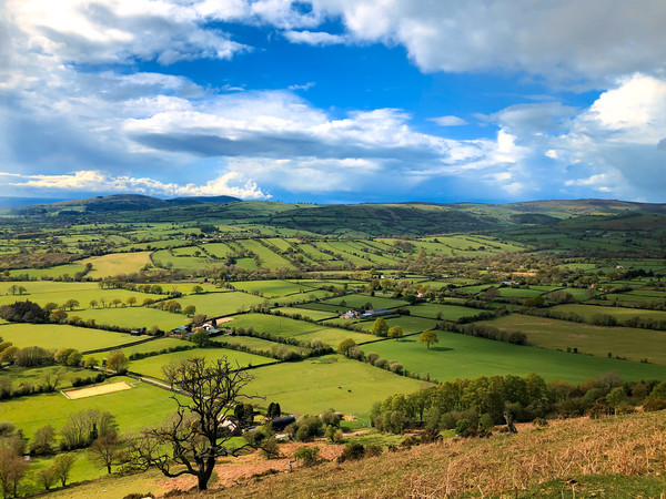 Beautiful landscape from Long Mynd, Shropshire Picture Board by Simon Marlow