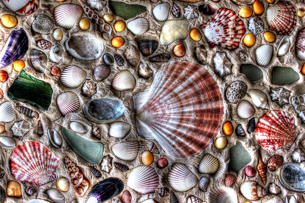 Oceans Treasures Picture Board by Simon Marlow