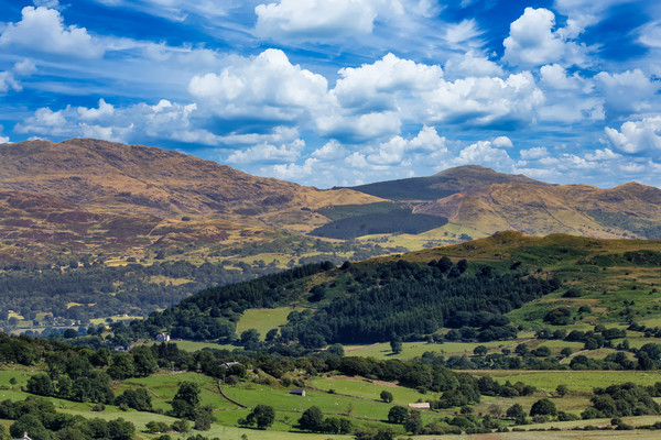 Beautiful landscape and mountains in Snowdonia Picture Board by Simon Marlow