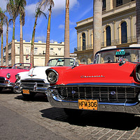 Buy canvas prints of Timeless Beauties in Havana by Simon Marlow